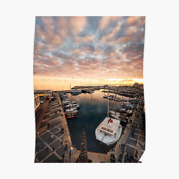 Golden Old Port - Limassol Cyprus Poster