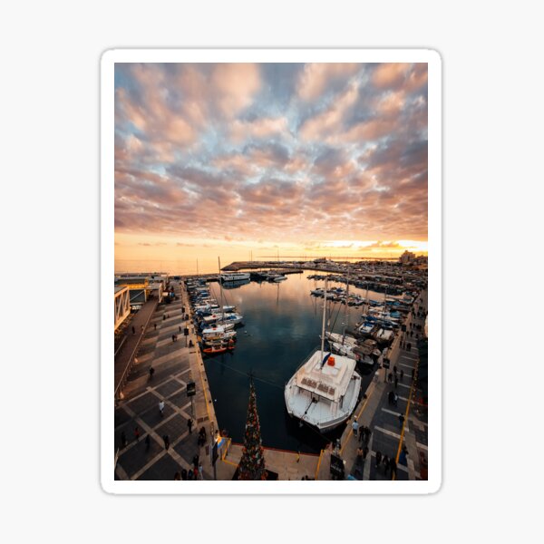 Golden Old Port - Limassol Cyprus Sticker
