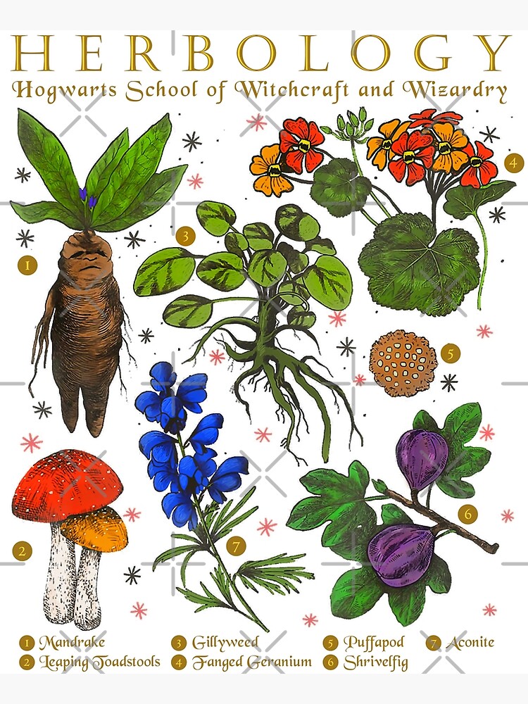 "Herbology" Poster for Sale by MangaCortaTees Redbubble