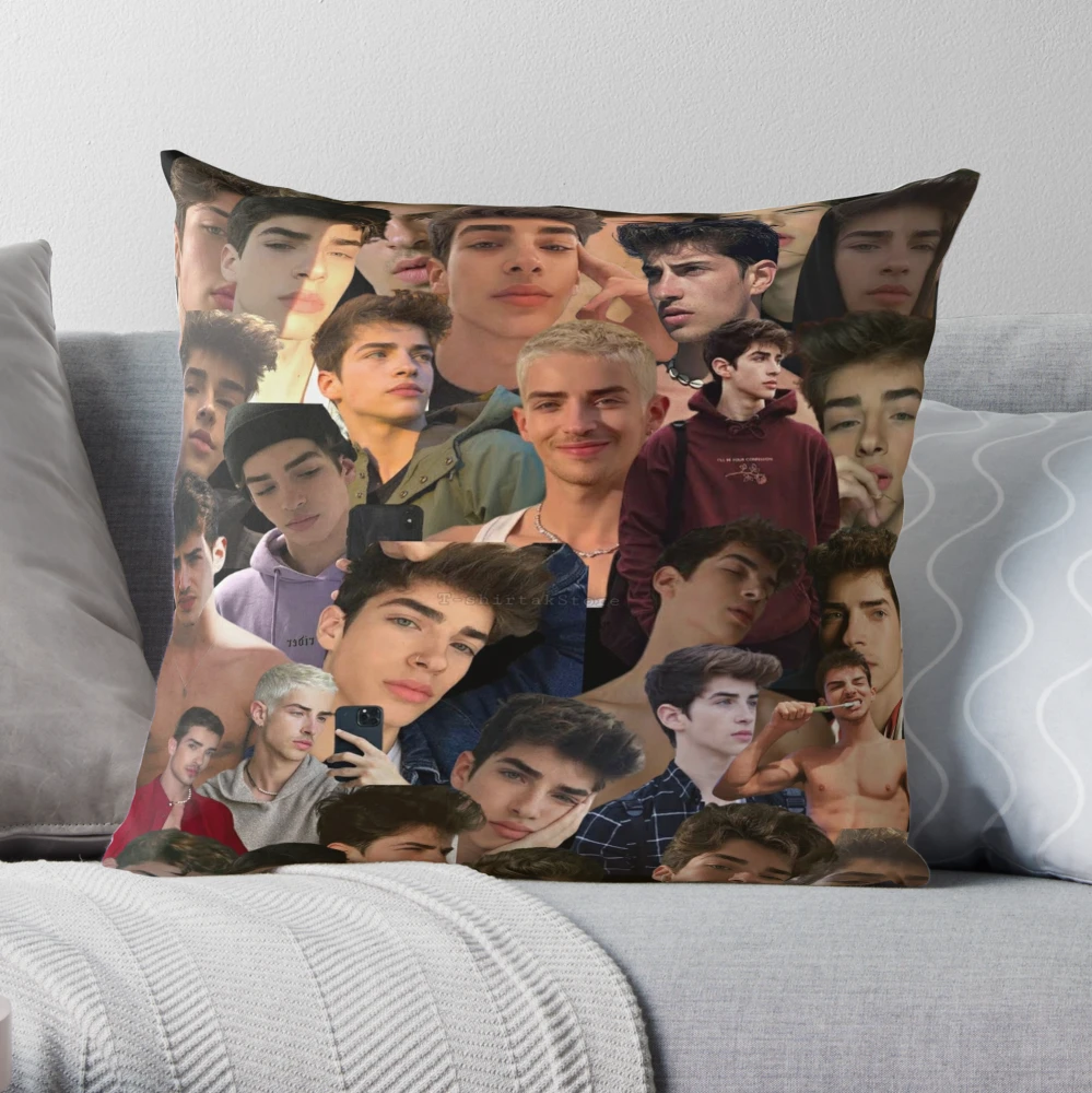 https://ih1.redbubble.net/image.3860066720.3810/throwpillow,large,1000x-bg,f8f8f8-c,0,200,1000,1000.u4.webp