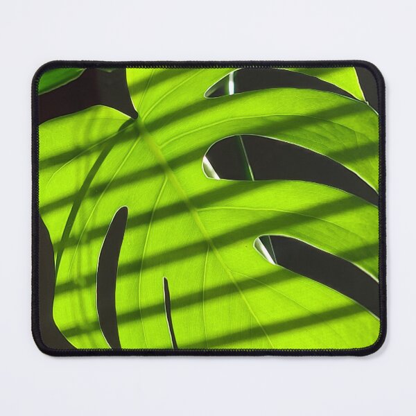 Item preview, Monstera Leaf and shadow photography  designed and sold by LittleBuddhaArt.