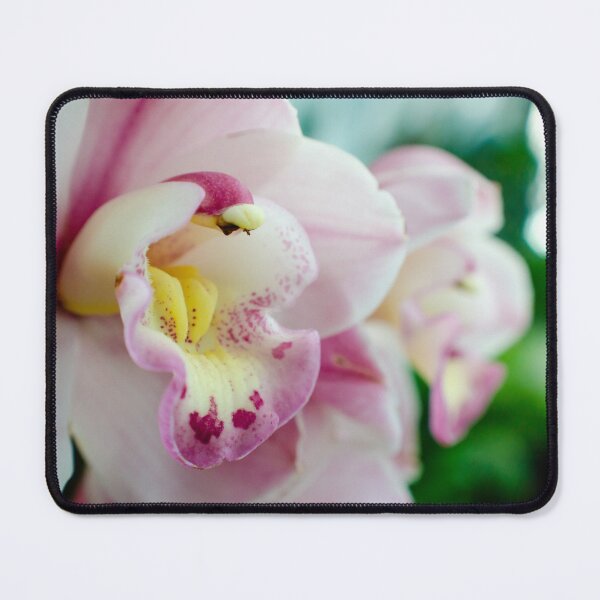 Item preview, Orchid designed and sold by akiobsession.