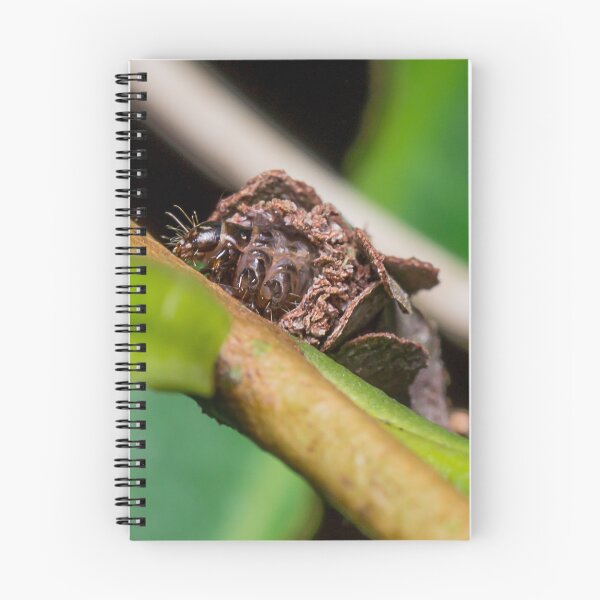 Item preview, Unique and organic photo of a bagworm (emerged) designed and sold by AvonPerception.