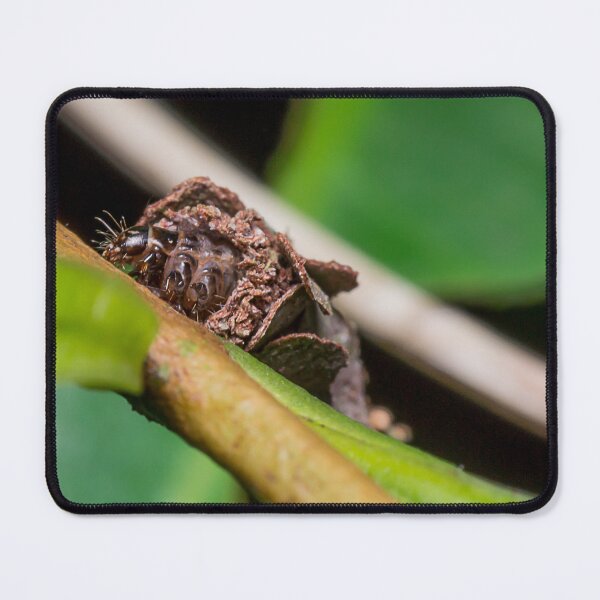 Item preview, Unique and organic photo of a bagworm (emerged) designed and sold by AvonPerception.