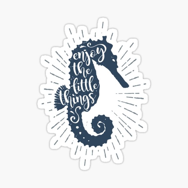 Age of Navigation - Enjoy The Little Things Sticker