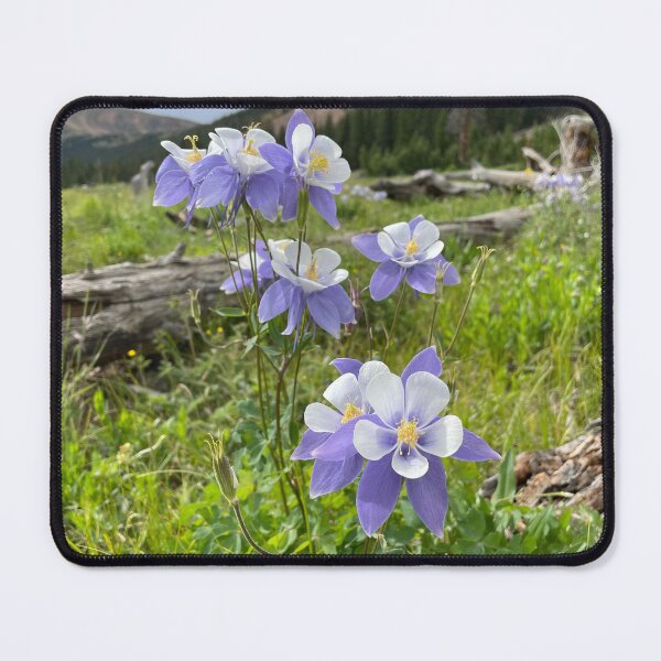 Item preview, Rocky Mountain Columbines designed and sold by Jenna Jade.