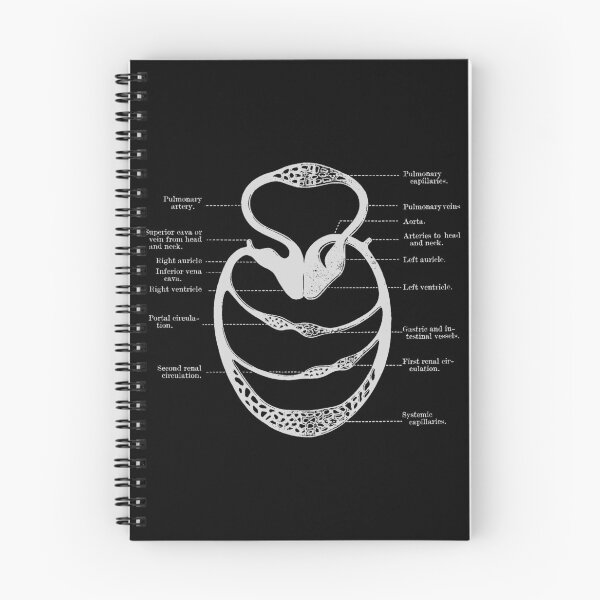 Item preview, Circulatory system designed and sold by Preslava Genova.