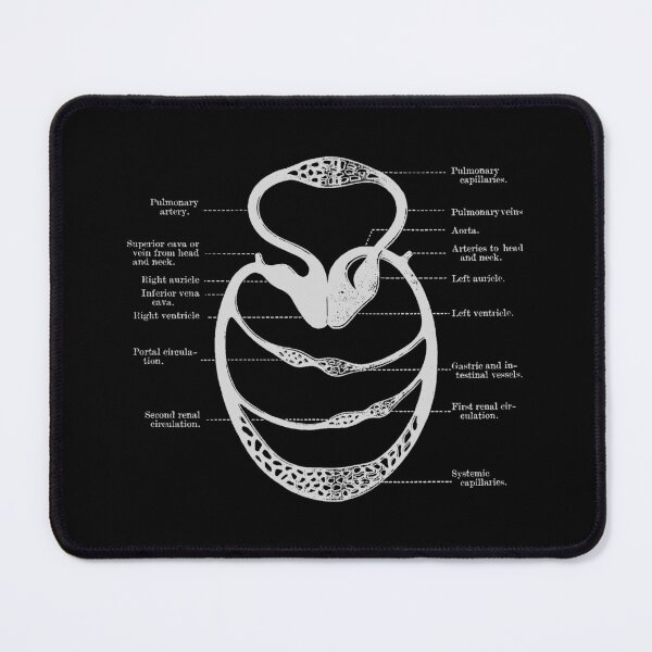Item preview, Circulatory system designed and sold by Preslava Genova.