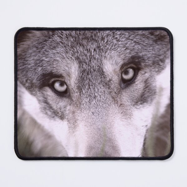 Item preview, Someone, not Something designed and sold by ImageEvolution.