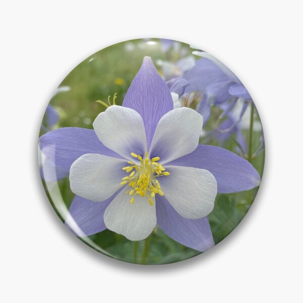 Item preview, Rocky Mountain Wildflowers designed and sold by Jenna Jade.