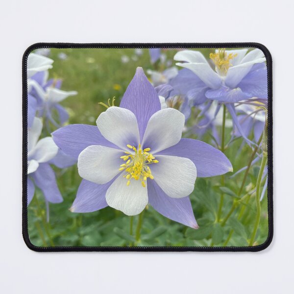Item preview, Rocky Mountain Wildflowers designed and sold by Jenna Jade.