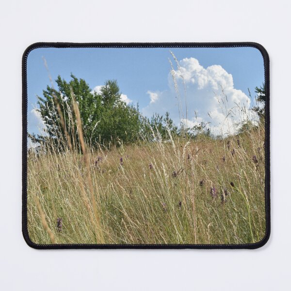 Item preview, Summer field on Vitosha mountain designed and sold by mariya-ivanova.