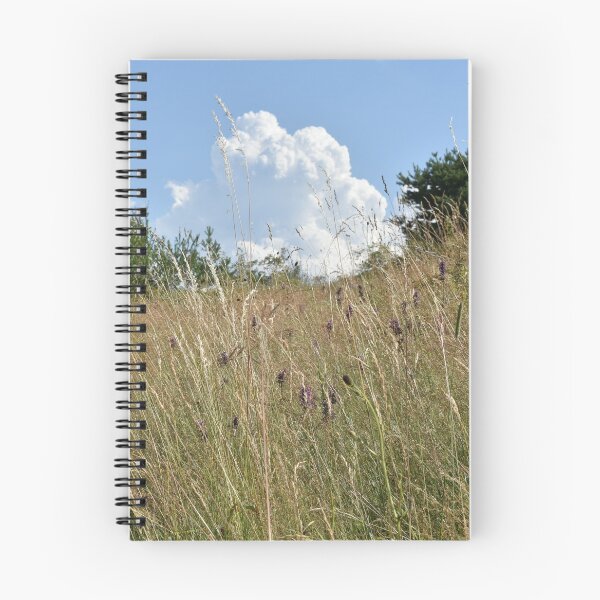 Item preview, Summer field on Vitosha mountain designed and sold by mariya-ivanova.