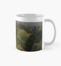 Ireland - Blarney Mug