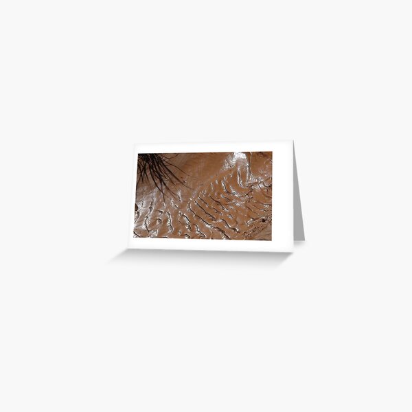 Milk Chocolate Mud Greeting Card