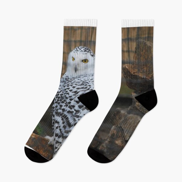 Item preview, Wise Old Owl designed and sold by Deoarts.