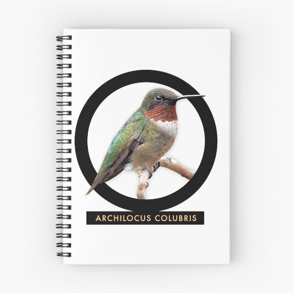 Aperçu de l'œuvre Colibri / Design Emblématique créée et vendue par ersartz.