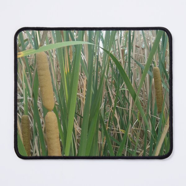 Item preview, mzila, oued ouargha 2022 designed and sold by mzila1983.
