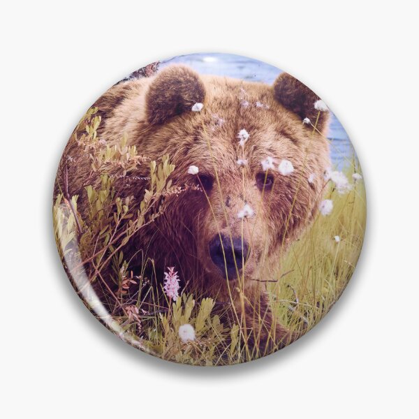 Item preview, Guess who is here. Brown bear designed and sold by Jouko Lehto Photography.