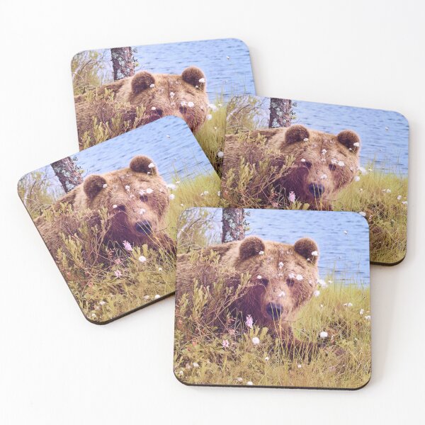 Item preview, Guess who is here. Brown bear designed and sold by Jouko Lehto Photography.