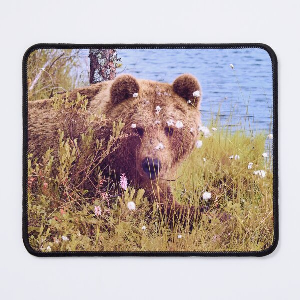 Item preview, Guess who is here. Brown bear designed and sold by Jouko Lehto Photography.
