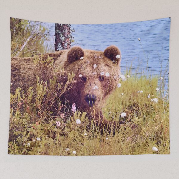 Item preview, Guess who is here. Brown bear designed and sold by Jouko Lehto Photography.