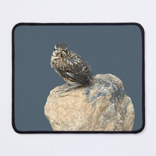 Item preview, Fledgling on a Rock  designed and sold by Amanda1775.