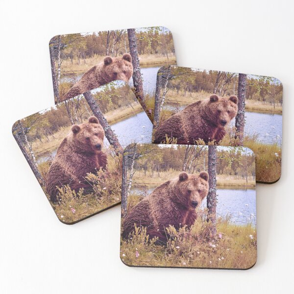 Item preview, Doggy doggy doggy ain't I looking kind. Brown bear designed and sold by Jouko Lehto Photography.