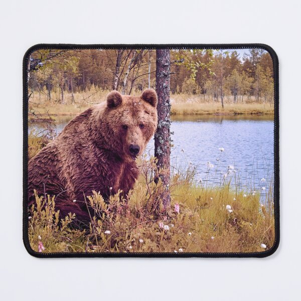 Item preview, Doggy doggy doggy ain't I looking kind. Brown bear designed and sold by Jouko Lehto Photography.