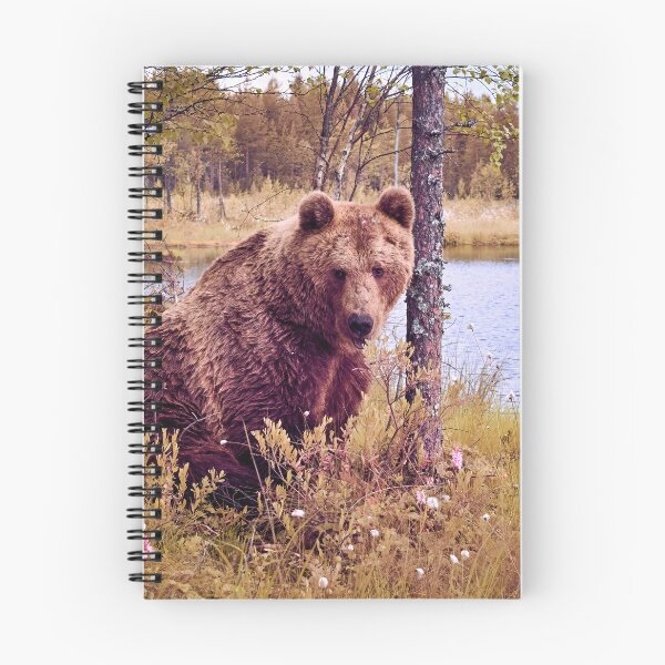 Item preview, Doggy doggy doggy ain't I looking kind. Brown bear designed and sold by Jouko Lehto Photography.