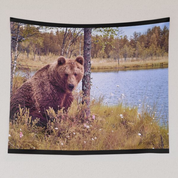Item preview, Doggy doggy doggy ain't I looking kind. Brown bear designed and sold by Jouko Lehto Photography.