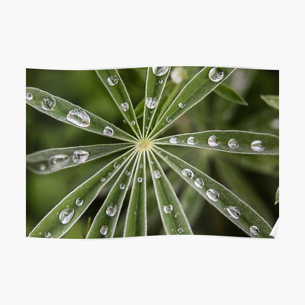 Breathtaking Aussie Airline Drops Mammoth $39 Sale Picture for Mobile Breathtaking Aussie Airline Drops Mammoth $39 Sale Picture for Mobile