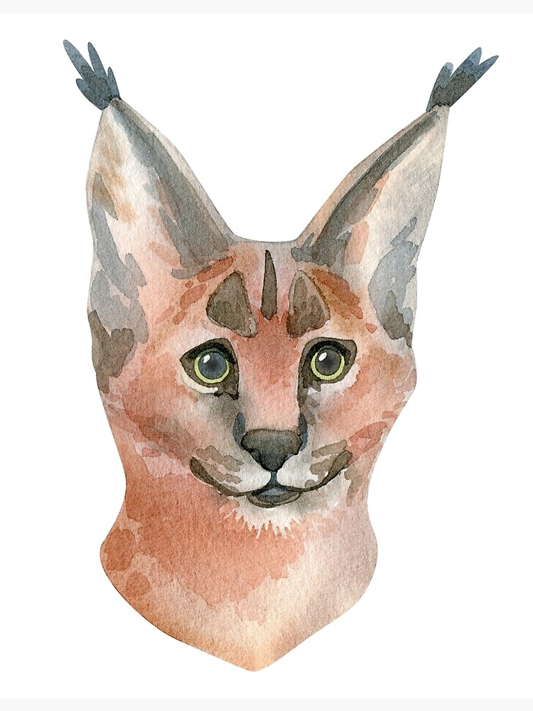 "Caracal watercolor, Cute caracal. Caracal paint" Poster for Sale by T