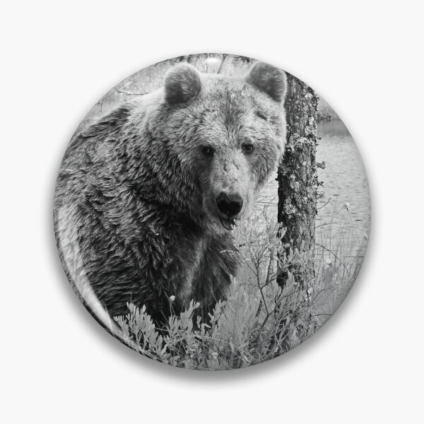 Item preview, Doggy doggy doggy ain't I looking kind. Brown bear bw designed and sold by Jouko Lehto Photography.