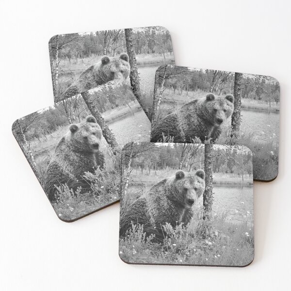 Item preview, Doggy doggy doggy ain't I looking kind. Brown bear bw designed and sold by Jouko Lehto Photography.