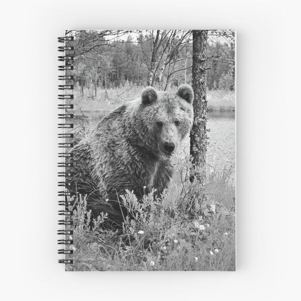 Item preview, Doggy doggy doggy ain't I looking kind. Brown bear bw designed and sold by Jouko Lehto Photography.