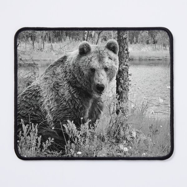 Item preview, Doggy doggy doggy ain't I looking kind. Brown bear bw designed and sold by Jouko Lehto Photography.