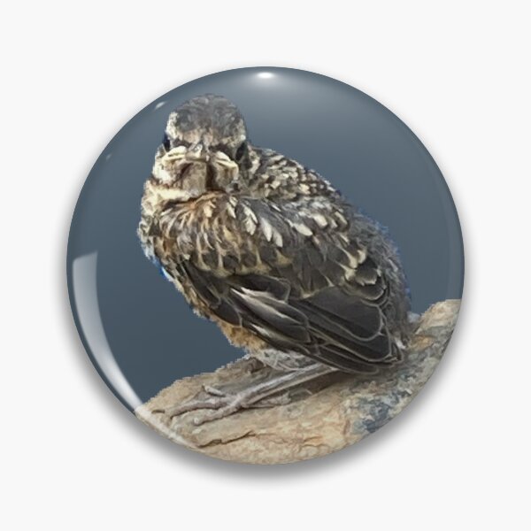 Item preview, Fledgling on a Rock  designed and sold by Amanda1775.