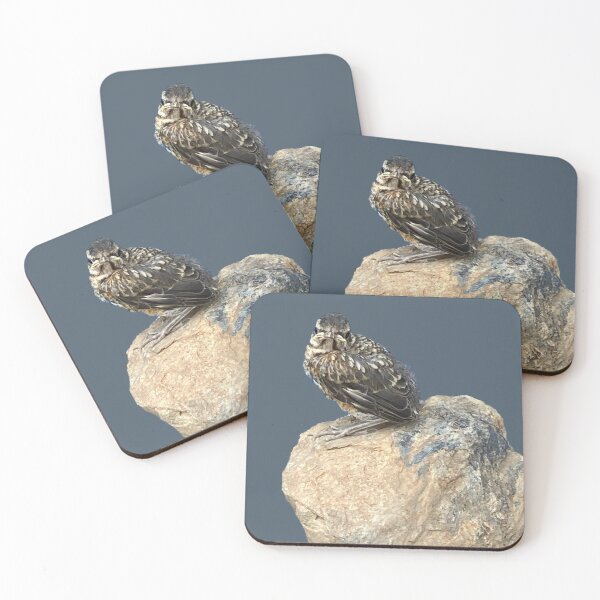 Item preview, Fledgling on a Rock  designed and sold by Amanda1775.