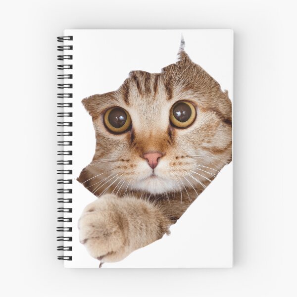 Item preview, cute funny cat designed and sold by IdiaMart.