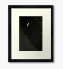 Random Guest II Framed Print
