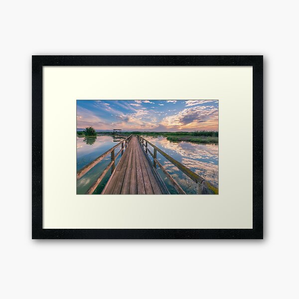 El Hondo Sunrise Framed Art Print