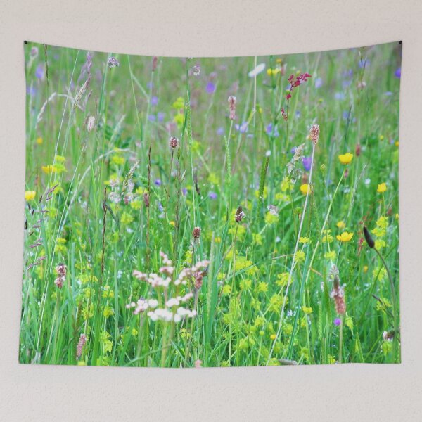 Item preview, Transylvanian Wildflower meadow designed and sold by JulietTurnbull.