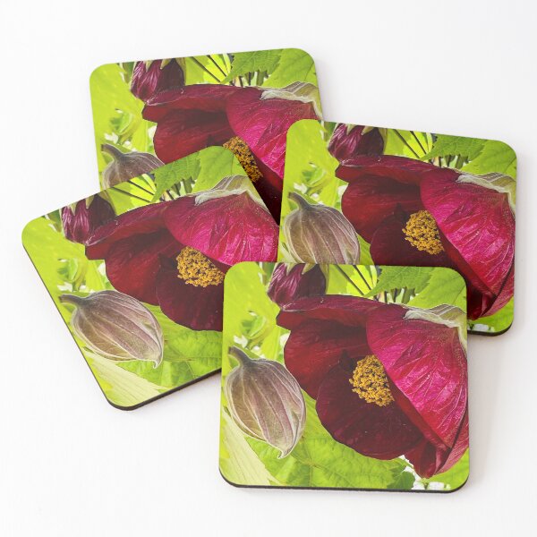 Item preview, Tender Maroon Flowering Maple  designed and sold by Photomersion.