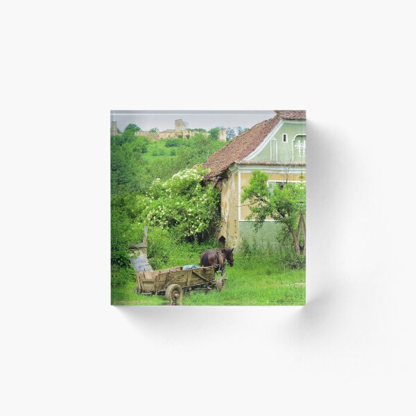 Horse and cart at Saschiz Citadel Acrylic Block