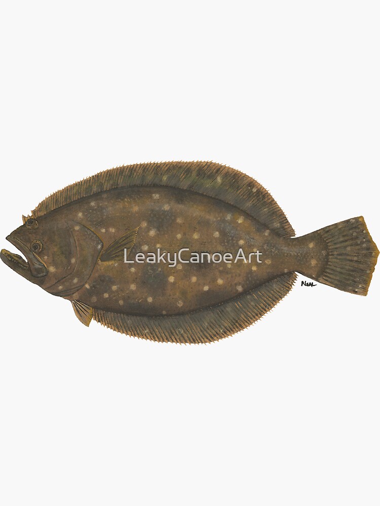 "Gulf Flounder" Sticker for Sale by LeakyCanoeArt Redbubble