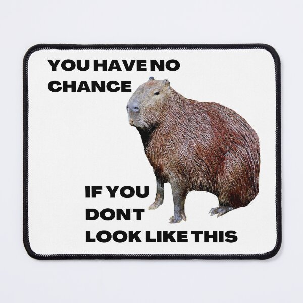 Item preview, You have no chance, if you don't look like Capybara designed and sold by T-Look.