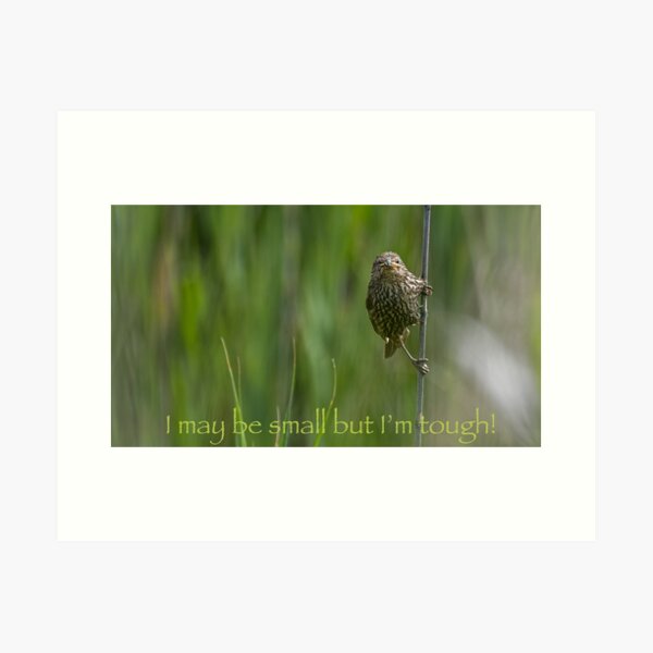 I May Be Small But I'm Tough! Art Print