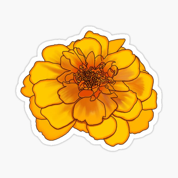 Marigold Flower Sticker Sheet — Studio Chamisa