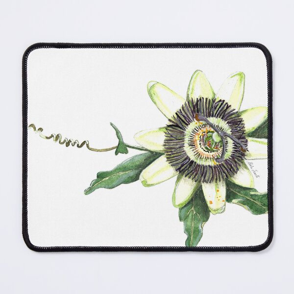 Item preview, Passion flower watercolour designed and sold by Malu-Iriarte.
